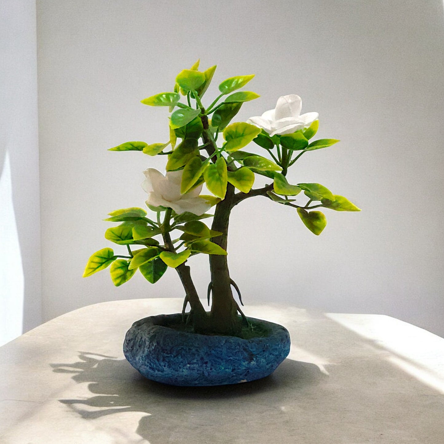 PLANTITA DE MESA DIF COLORES 10X20CM