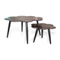 MESA DE CENTRO PENSILVANIA SET 2 PZAS.